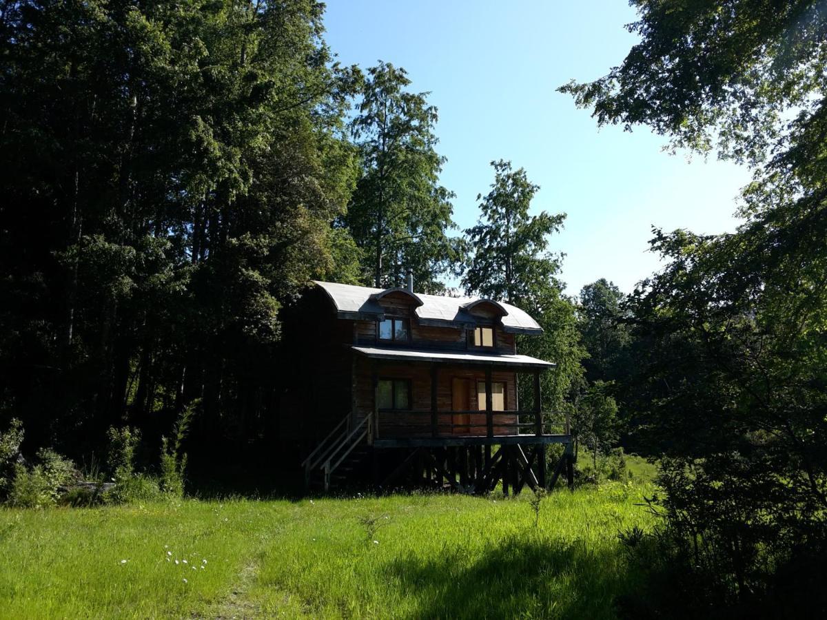 Huilo Huilo Cabanas Del Bosque Puerto Fuy Exterior foto